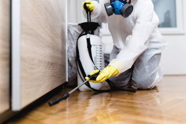 Best Pest Removal Services  in Emerald Isle, NC