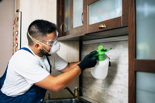 Best Pest Removal Services  in Emerald Isle, NC