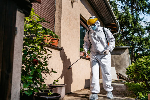 Wildlife Control Services in Emerald Isle, NC