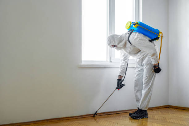 Best Wildlife Control Services  in Emerald Isle, NC