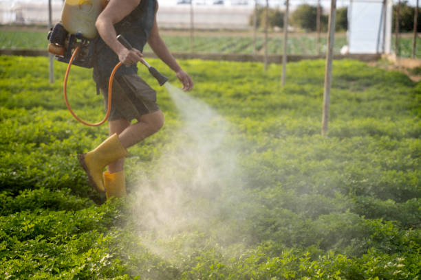 Best Residential Pest Control  in Emerald Isle, NC