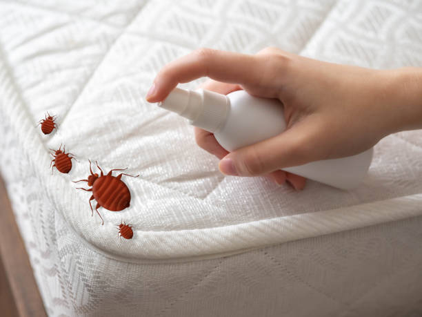 Best Pest Prevention Services  in Emerald Isle, NC